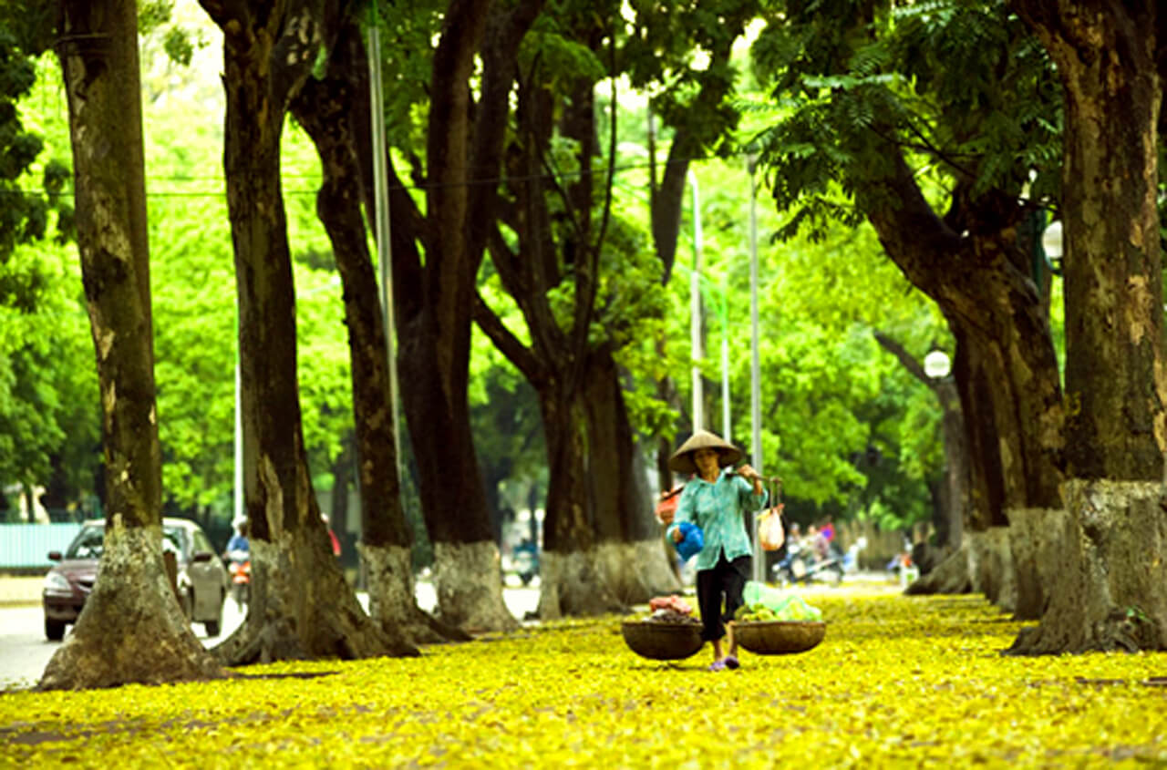 ha noi - best places to visit Vietnam in October