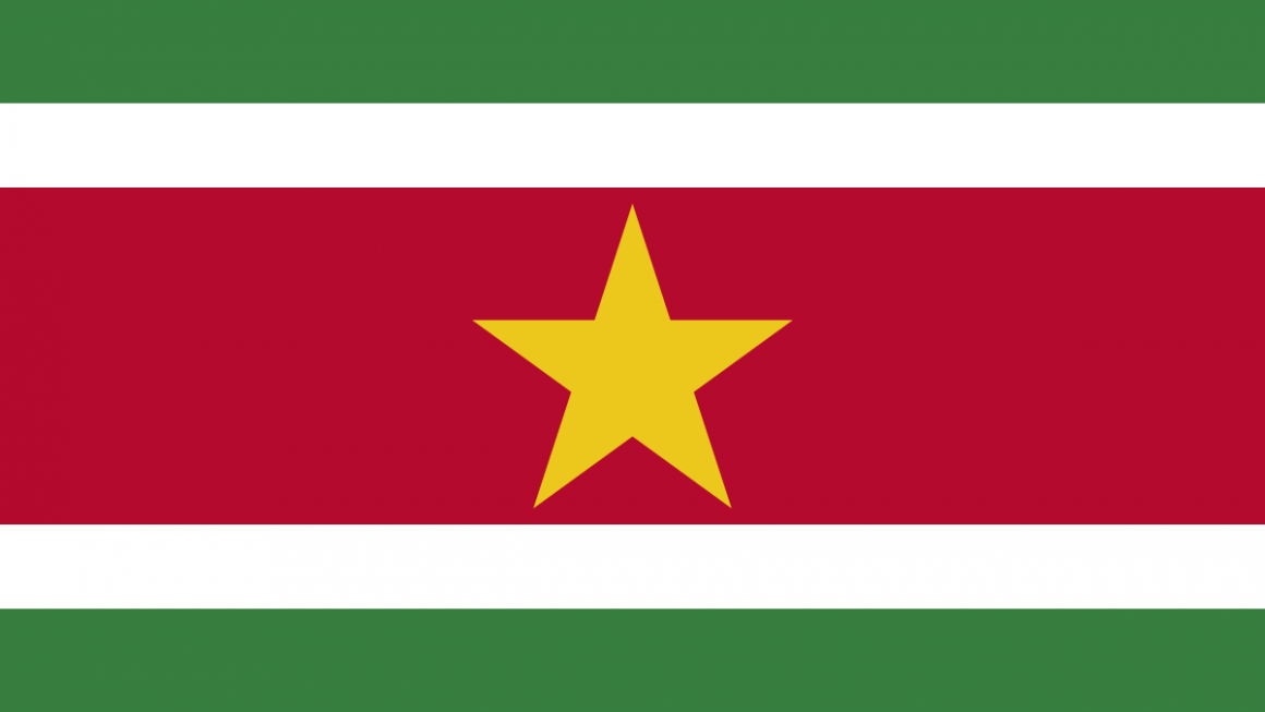 Apply Vietnam visa for Suriname citizens – Visum voor Vietnam toepassen