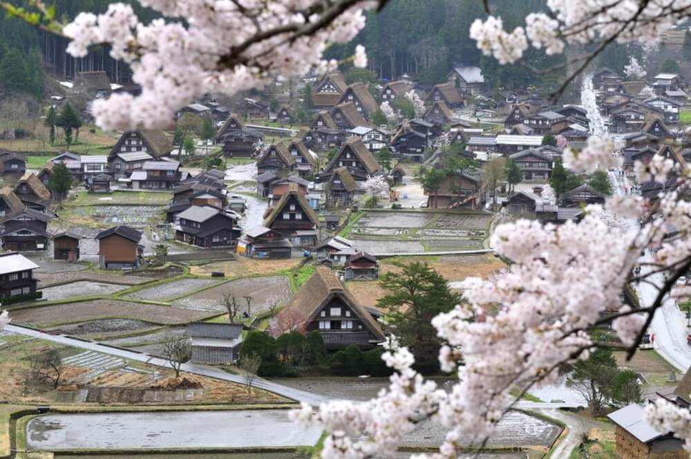 Làng lịch sử Shirakawa-go và Gokayama