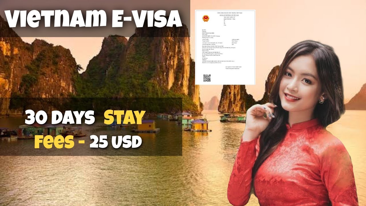 Top 10 vietnam e visa review